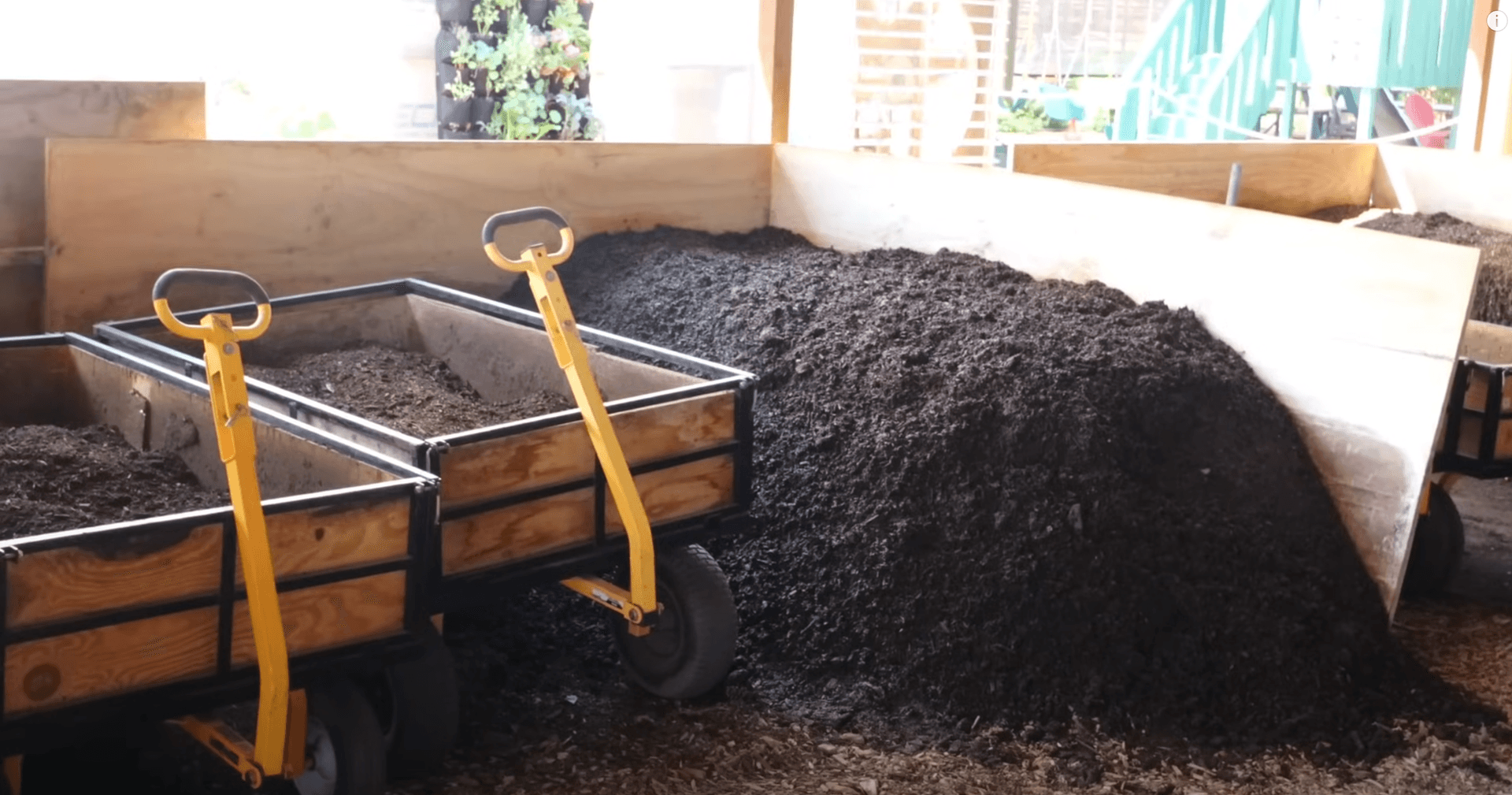 Worm castings and soil