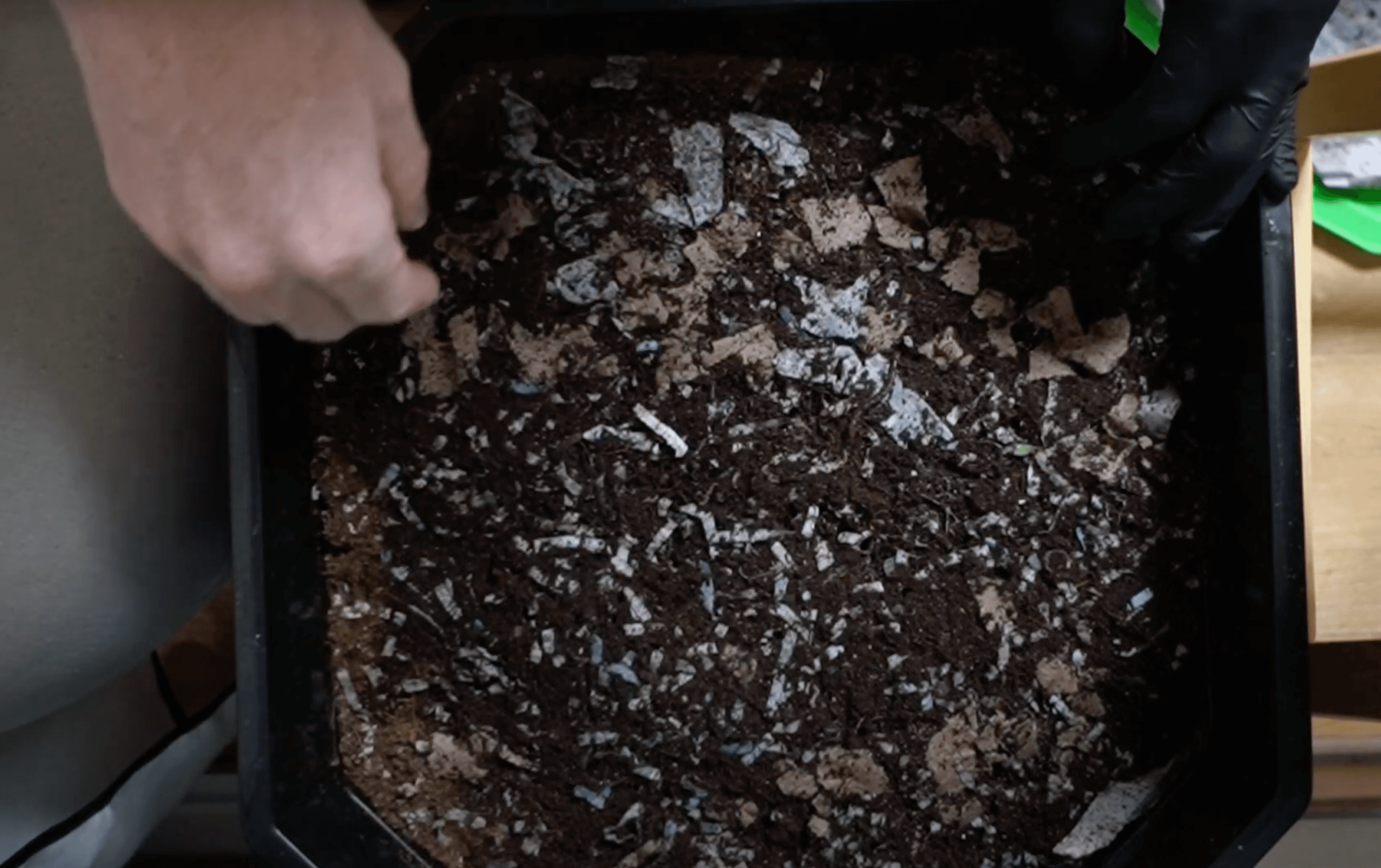 Dirty hands holding worms